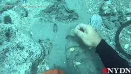treasure-diving-spanish-galleons-1.webp treasure-diving-spanish-galleons-1.webp
