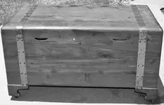 Temp trunk.webp