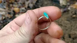 02202019ring5.webp