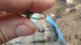02202019ring7.webp