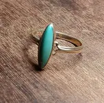 02202019ring1.webp