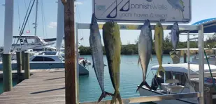 20190326_192552.webp