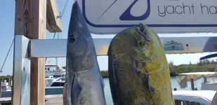 20190326_160737.webp 20190326_160737.webp