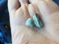20190312_130054.webp