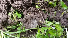 20190418_150448.webp 20190418_150448.webp
