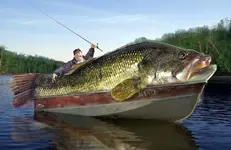 Big-Bass-Fake.webp Big-Bass-Fake.webp