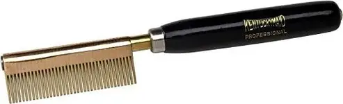 straightening-comb-21st-century.webp