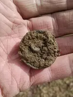 Domed Button Dirt.webp