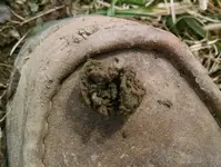 Cufflinks Dirt.webp
