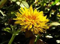 DSCN2498.webp