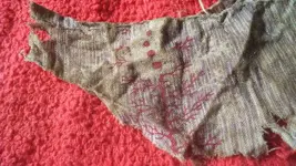 3-23-19, 1700s fabric (2).webp