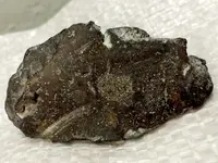 P90413-163439(1).webp