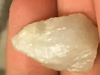 A1AA14DB-1407-46DF-BBE4-99396311A57F.webp A1AA14DB-1407-46DF-BBE4-99396311A57F.webp