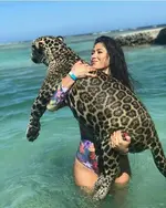 UsQN2gnx_2019427042107.webp