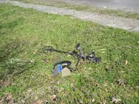 IMG_0579.webp