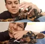 C1ZVylZc_2019427042108.webp