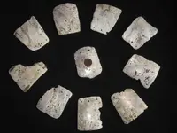 Drilled Shell El Dorado Co Ca 012.webp
