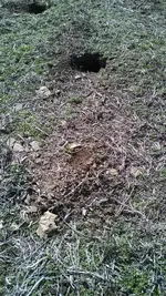 Grond Hog Hole.webp Grond Hog Hole.webp