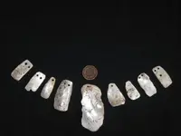 Drilled Shell El Dorado Co Ca 014.webp