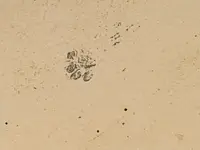 20190217_132544.webp