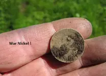 Finds 3-16-19 005.webp