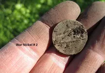 Finds 3-16-19 007.webp