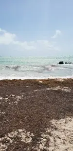 1550771293811.webp