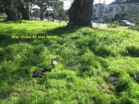 Finds 3-16-19 009.webp
