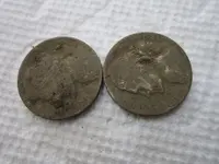 Finds 3-16-19 016.webp