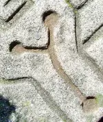 MYSTERY ROCK Y.webp