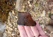 3-12-19 pottery shard outside.webp