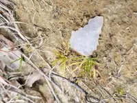 20190331_174607.webp