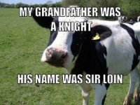 Cow-Meme.jpg
