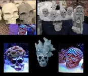 Skulls 2.webp