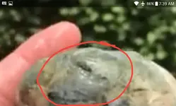 Capture+_2019-03-19-07-39-37.webp Capture+_2019-03-19-07-39-37.webp