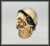 Skulls 3.webp