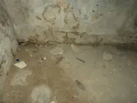 DSCN8711.webp