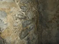 DSCN8710.webp