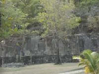 DSCN8674.webp