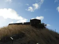 DSCN8688.webp