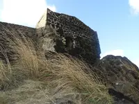 DSCN8725.webp