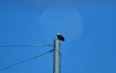 K1600_DSCN3877.webp