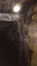 ZOOvbkd.webp ZOOvbkd.webp