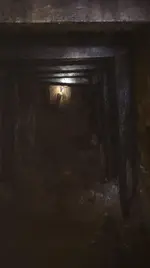 llJ0SRy.webp