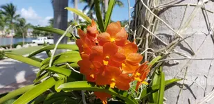 20181108_123314.webp 20181108_123314.webp