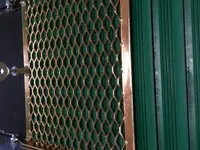 IMG_1172.webp