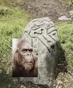 Mystery Rock Bigfoot Face.webp