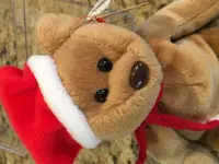 beaniebear (8).webp