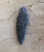 20190416_Gfinds.webp