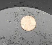 penny.webp